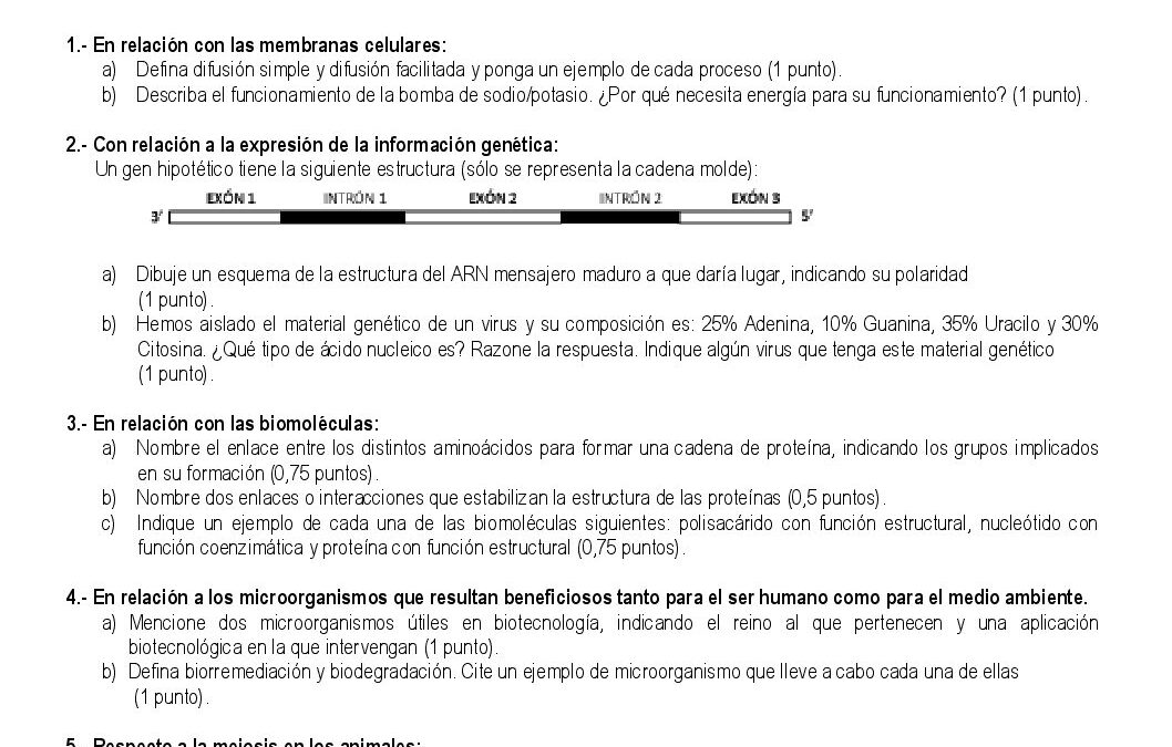 Biología – modelo orientaciones y solución