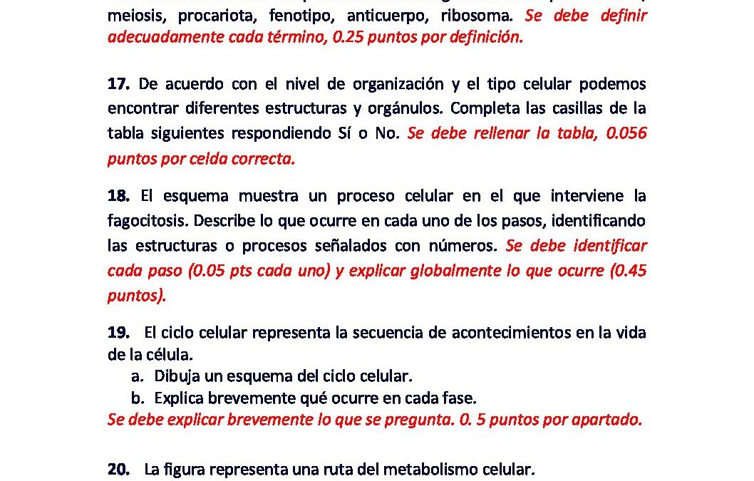 Biología – solución