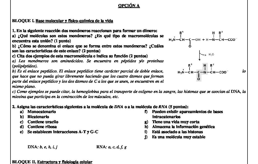 Biología – solución